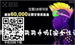 小狐狸钱包能存狗狗币吗？安全性详细分析