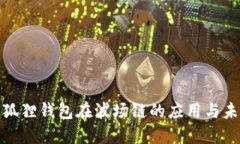 探索小狐狸钱包在波场链的应用与未来发展