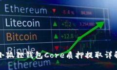 小狐狸钱包Core质押提取详解