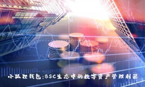 小狐狸钱包：BSC生态中的数字资产管理利器