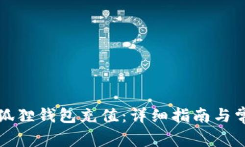 如何使用小狐狸钱包充值：详细指南与常见问题解答
