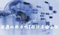 小狐狸钱包能存比特币吗？探讨其安全性与使用
