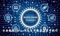 全面解析OKPay钱包使用教程与实用技巧