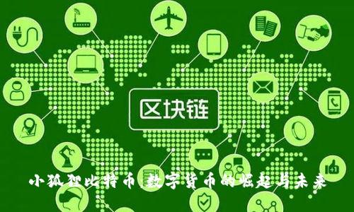 小狐狸比特币：数字货币的崛起与未来