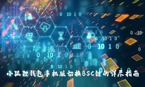 小狐狸钱包手机版切换BSC链的详尽指南