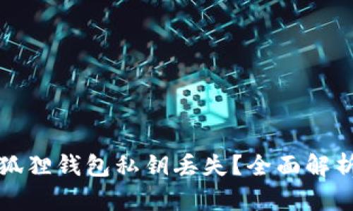如何应对小狐狸钱包私钥丢失？全面解析与解决方案