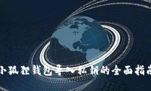 小狐狸钱包导入私钥的全面指南