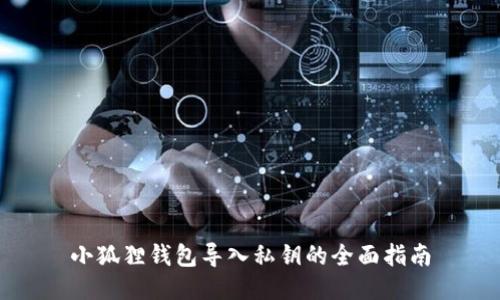 小狐狸钱包导入私钥的全面指南