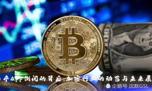 币乎App倒闭的背后：加密行业的动荡与未来展望