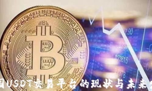 
中国USDT交易平台的现状与未来发展