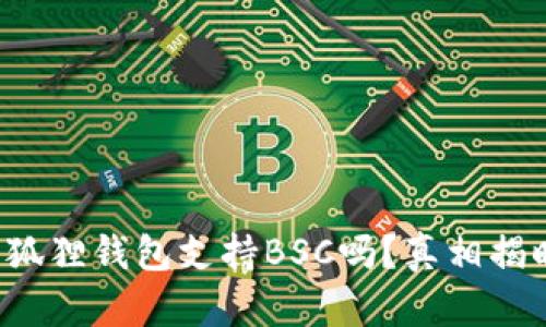 小狐狸钱包支持BSC吗？真相揭晓！