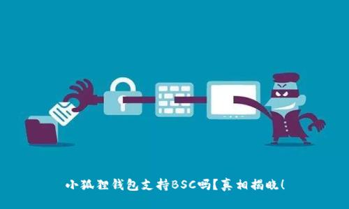 小狐狸钱包支持BSC吗？真相揭晓！
