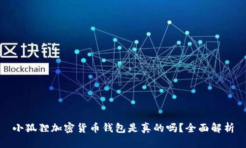 小狐狸加密货币钱包是真的吗？全面解析