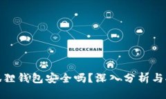小狐狸钱包安全吗？深入分析与探讨
