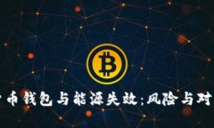 加密货币钱包与能源失效：风险与对策分析