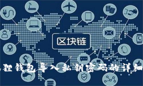 小狐狸钱包导入私钥密码的详细指南
