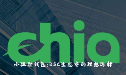 小狐狸钱包：BSC生态中的理想选择