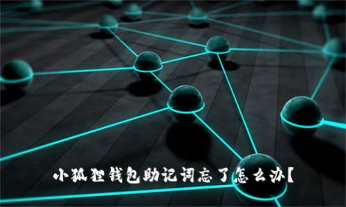 小狐狸钱包助记词忘了怎么办？
