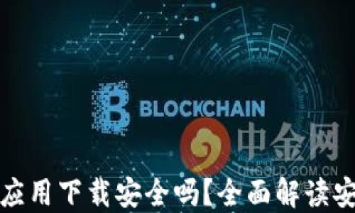 
虚拟币钱包应用下载安全吗？全面解读安全性与风险