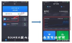 BitMEX国内版使用指南与市场分析
