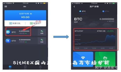BitMEX国内版使用指南与市场分析