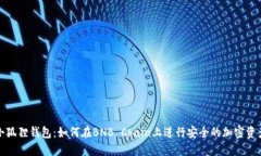 探索小狐狸钱包：如何在BNB Chain上进行安全的加