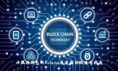 小狐狸钱包的Solana通道解析与使用指南